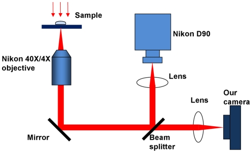 Figure 10