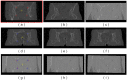 Fig 8