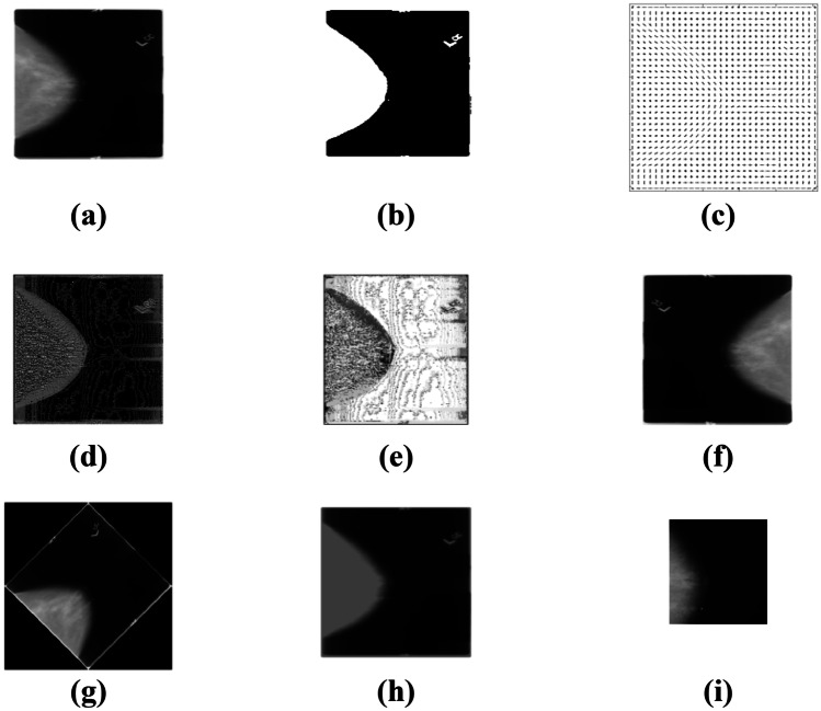 Fig. 6