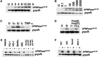 Fig 4.