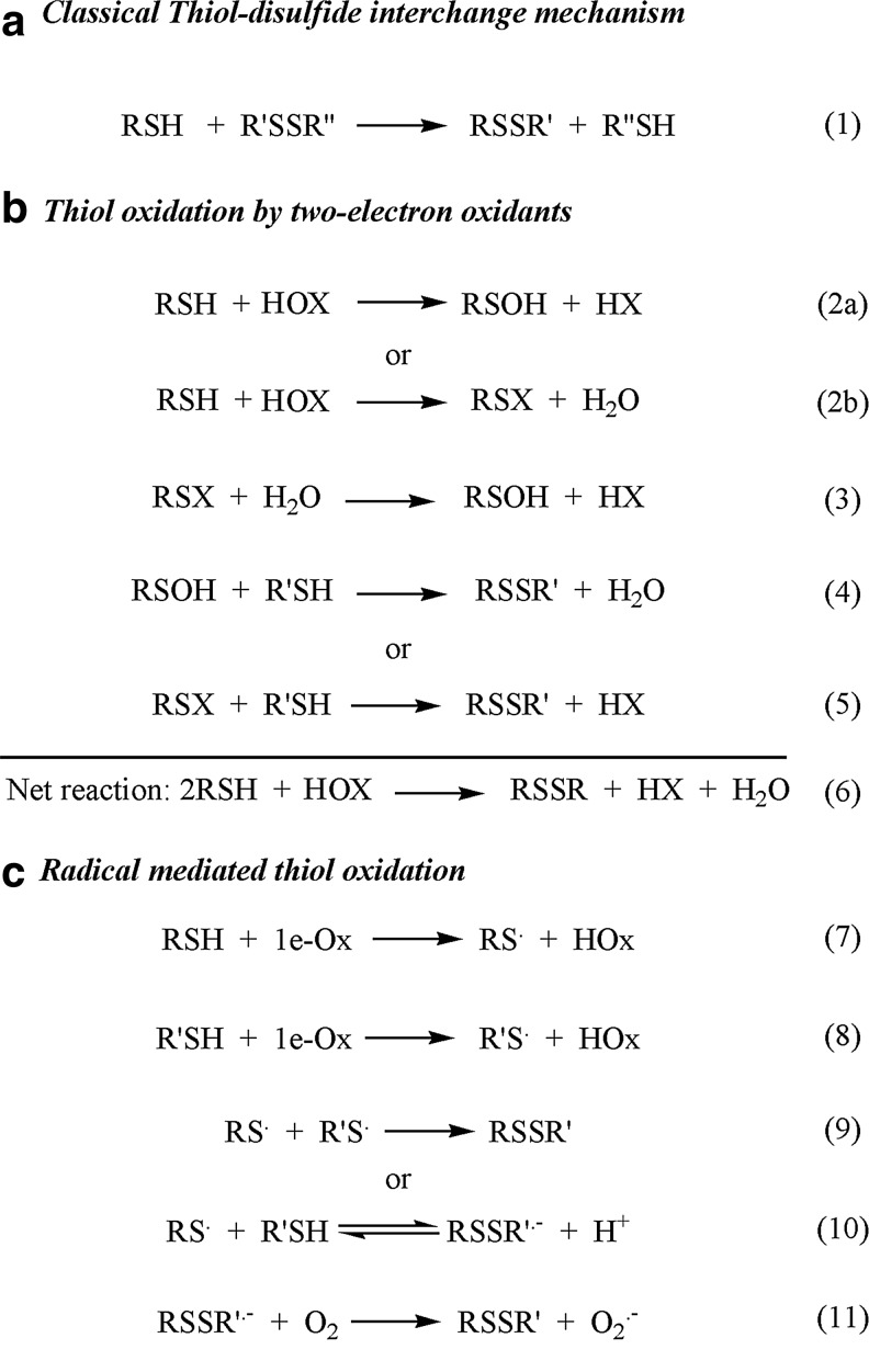 Scheme 1.