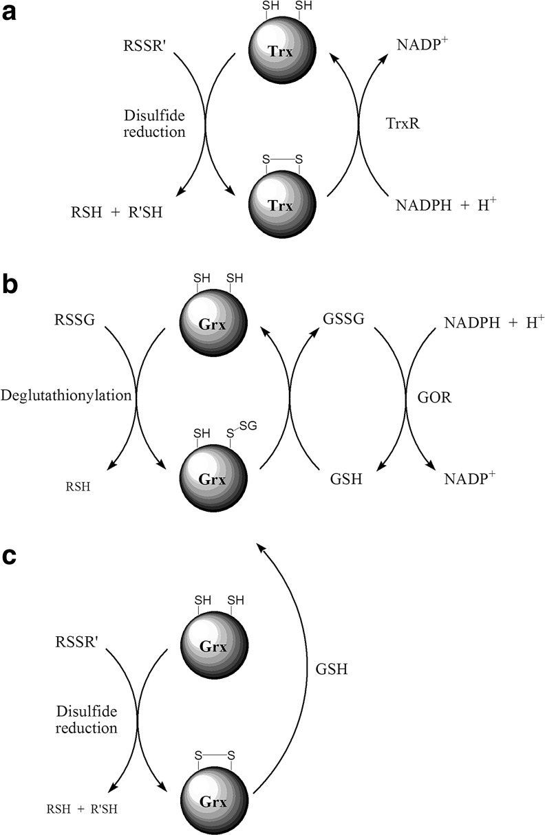 FIG. 5.