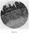 1358-1