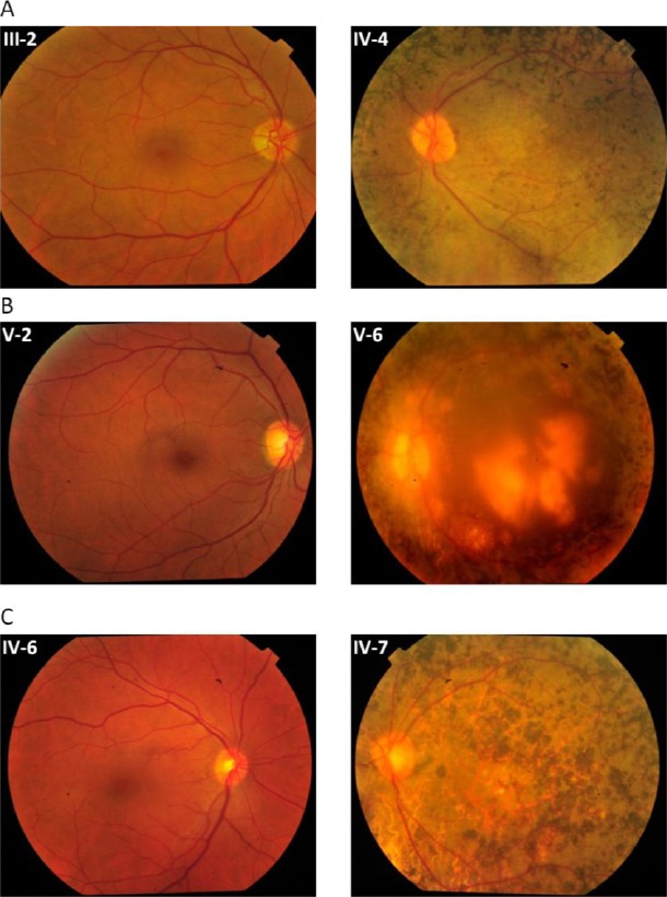 Fig. 3