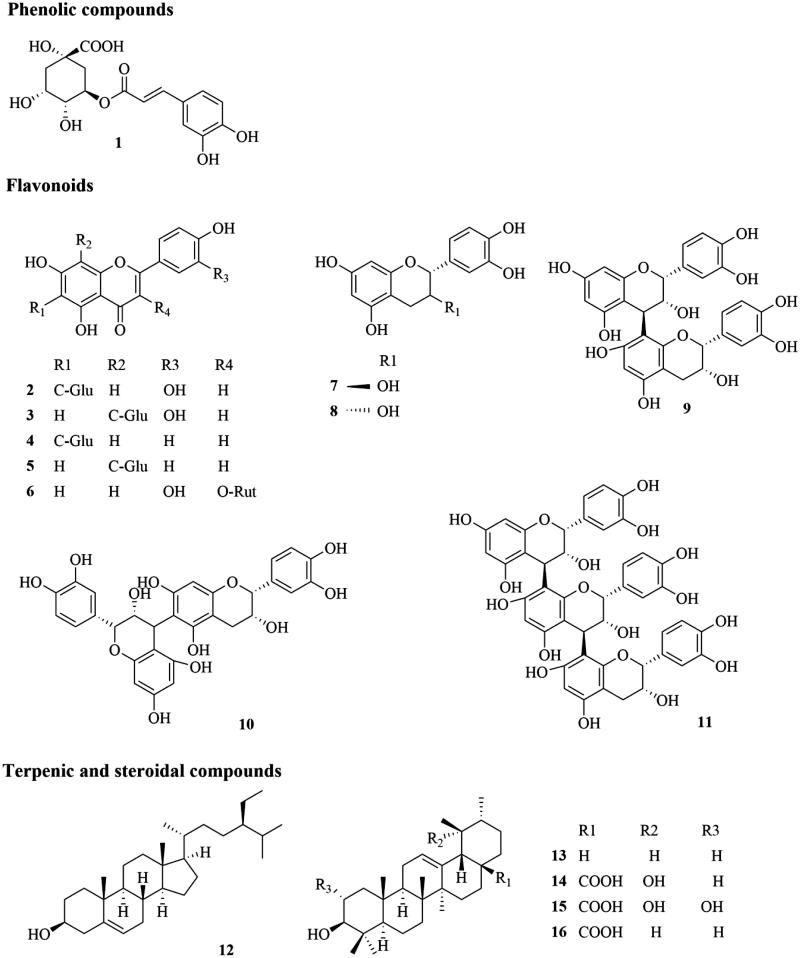 Figure 1.