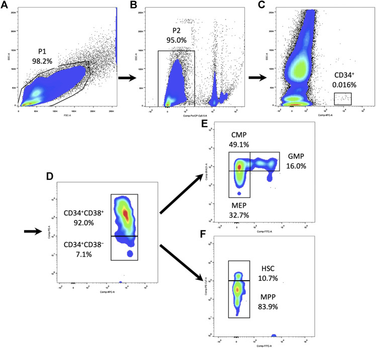 FIGURE 1