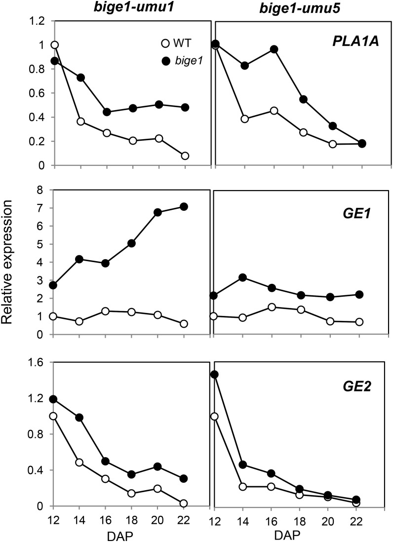 Figure 7.