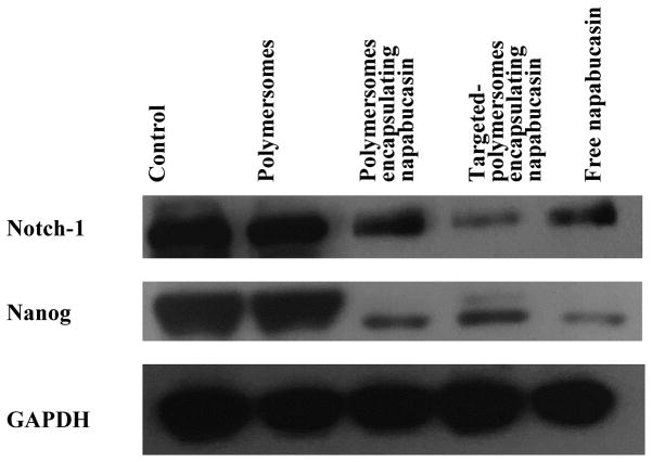 Fig 8