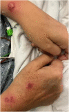 Fig. 2