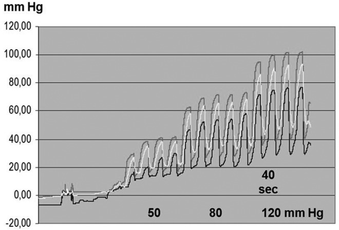 FIG. 2.