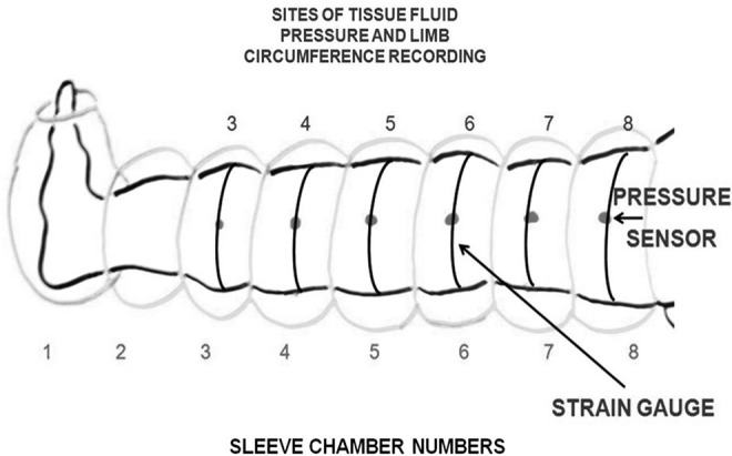 FIG. 1.