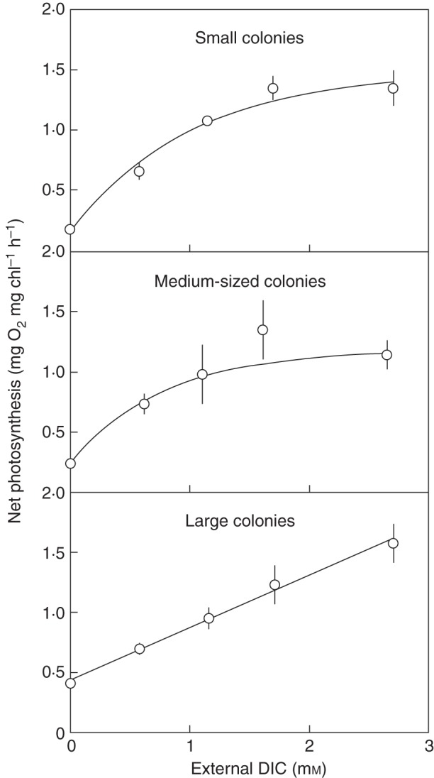 Fig. 4.