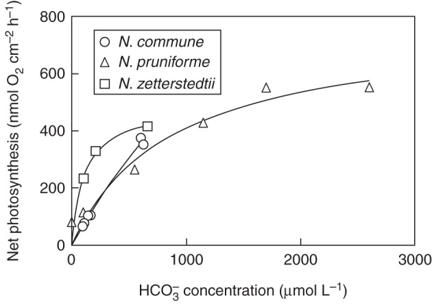 Fig. 5.