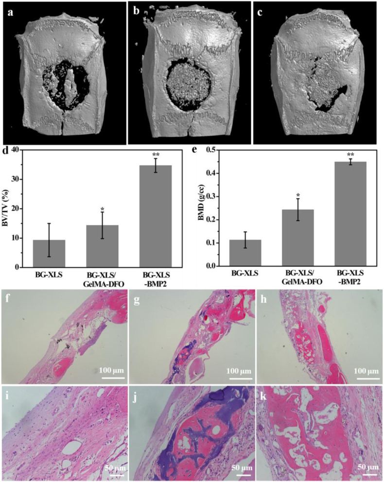 Fig. 12