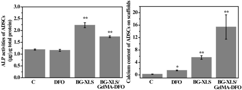 Fig. 10