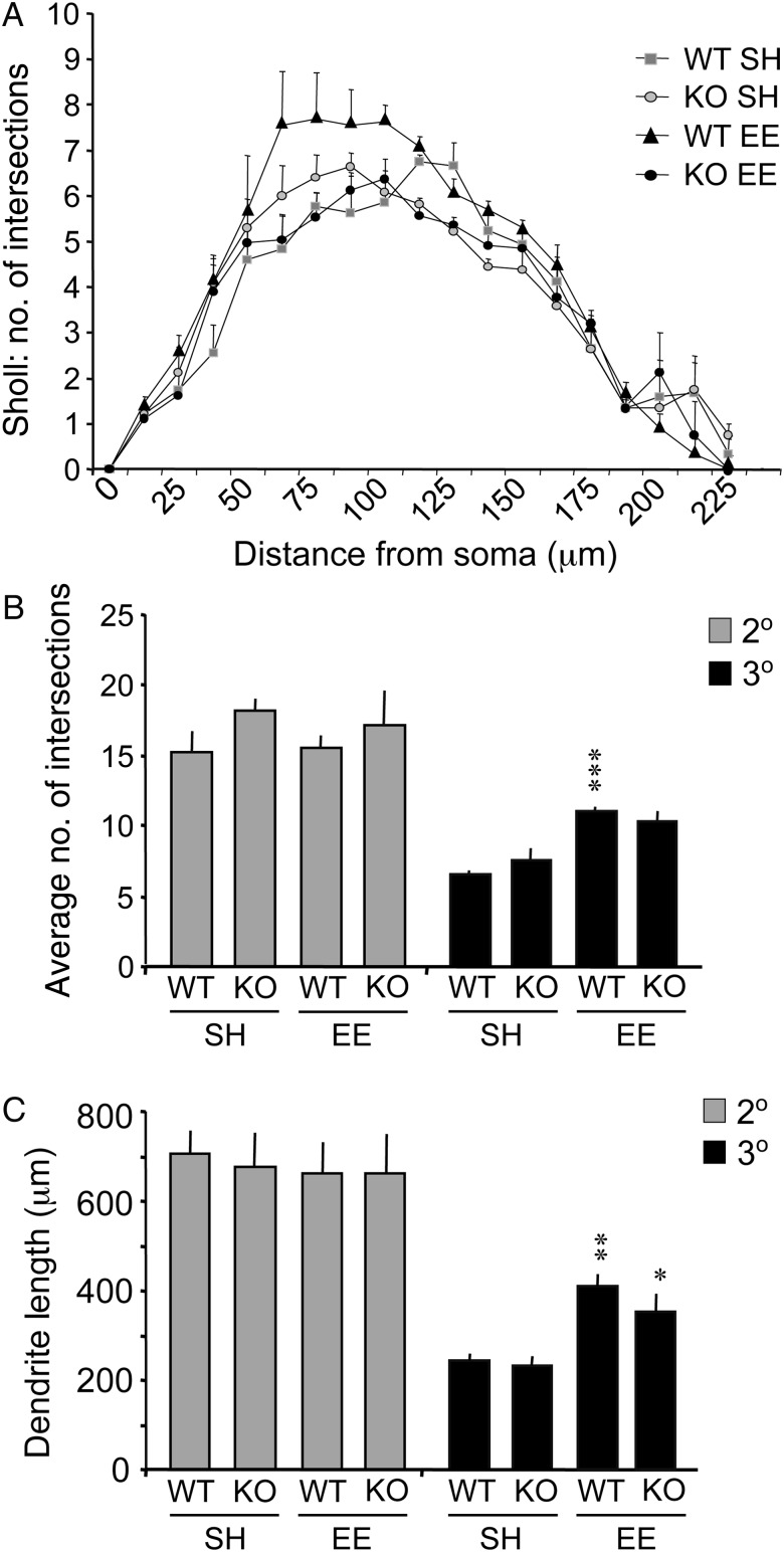 Figure 2.