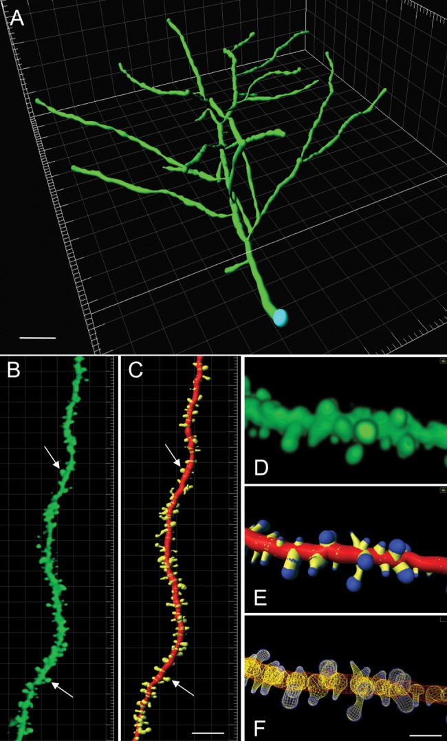 Figure 1.