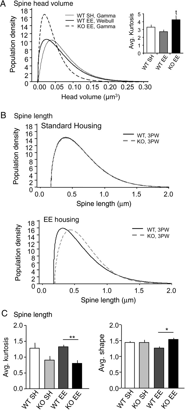 Figure 5.