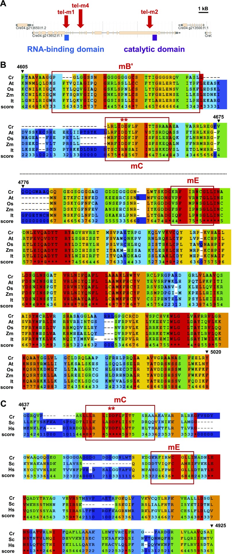 Figure 4.