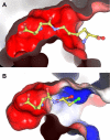 FIGURE 7.