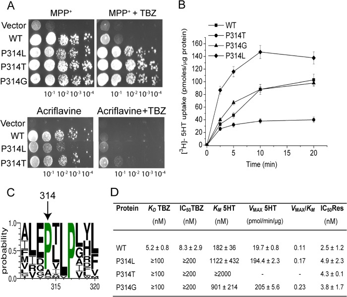 FIGURE 4.