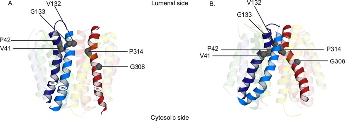 FIGURE 9.