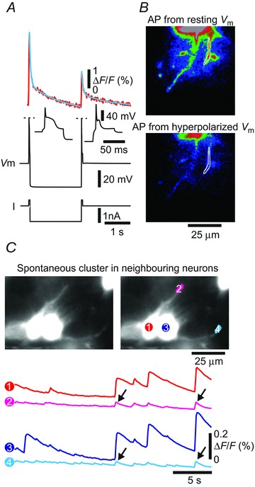 Figure 6