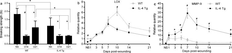 Fig 6