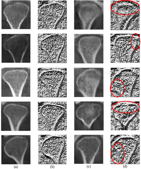 Figure3