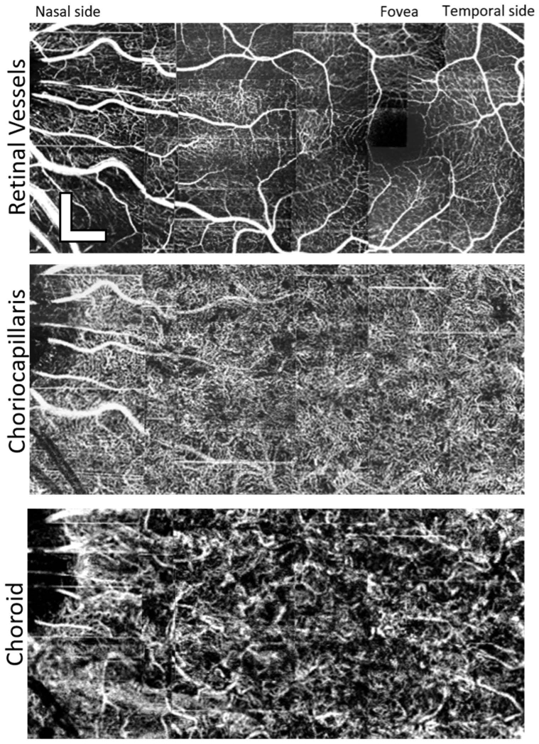 Fig. 7