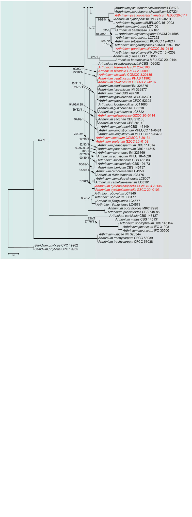 FIGURE 1