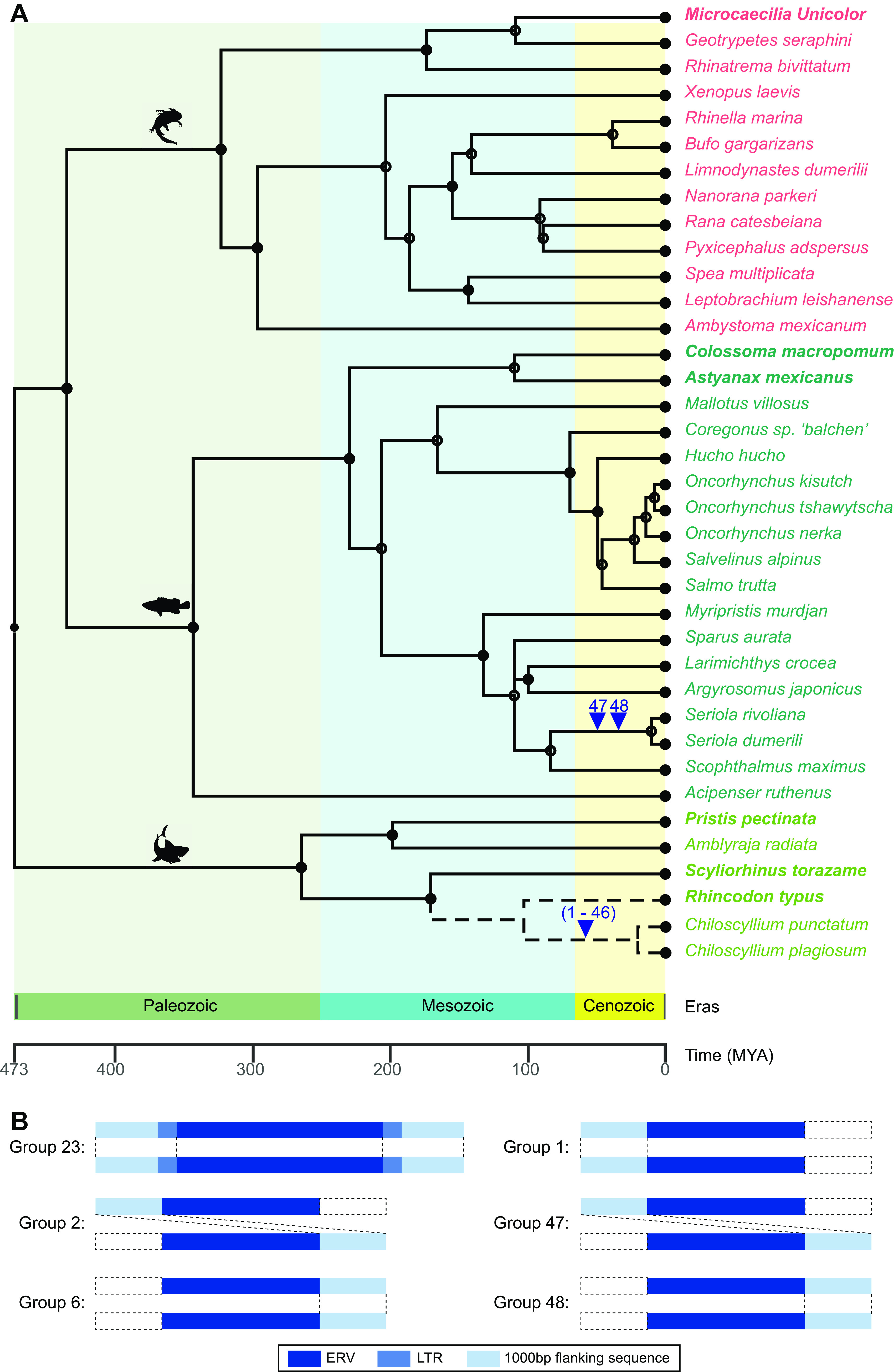 FIG 6