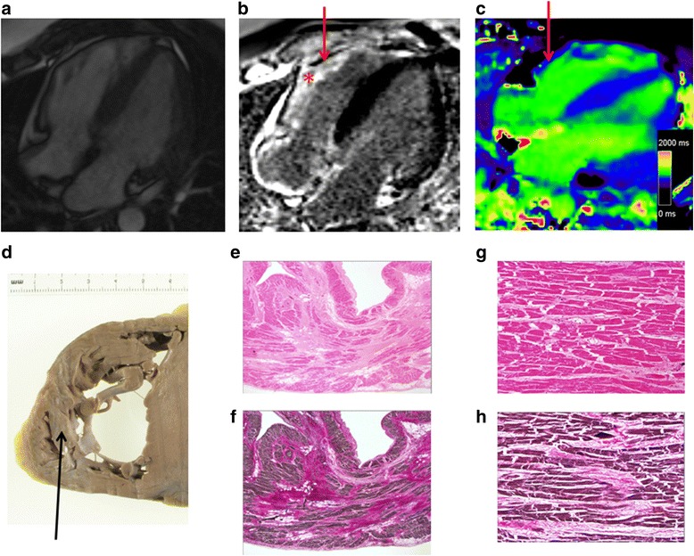 Fig. 4