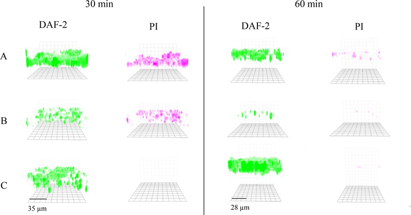 Figure 7.