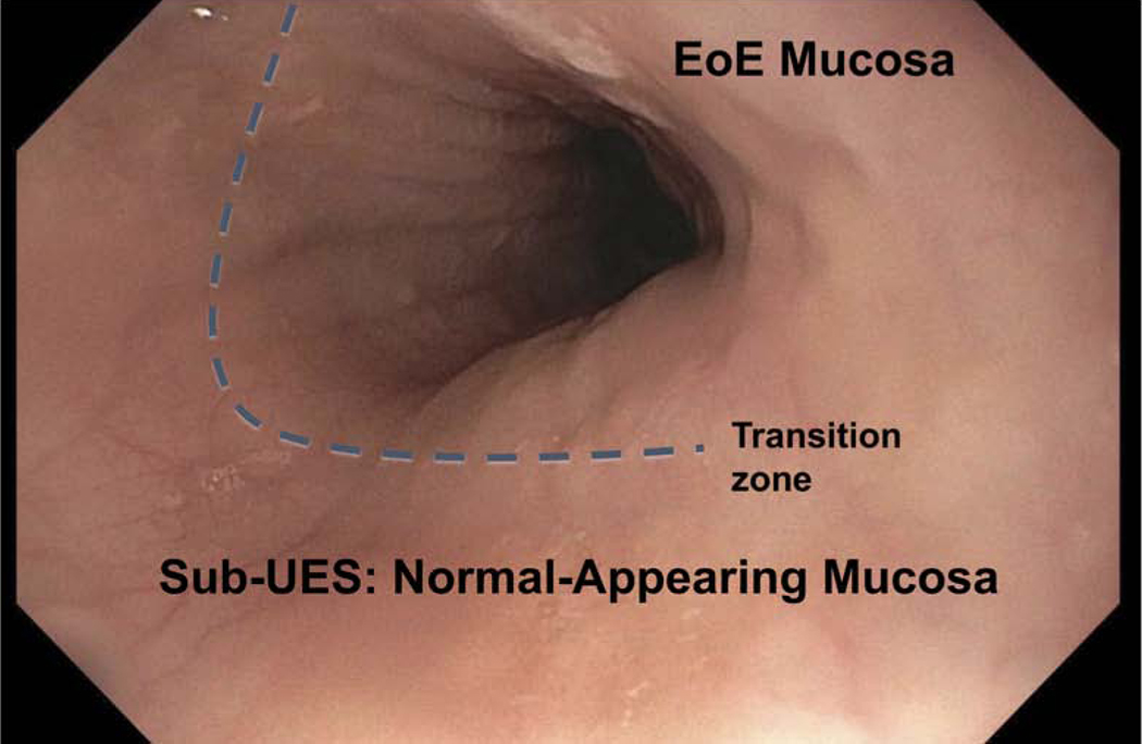 Figure 1: