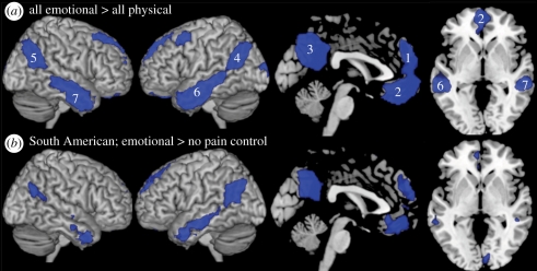 Figure 6.