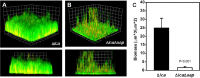 FIG 4