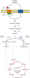FIG 9