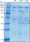FIG 4