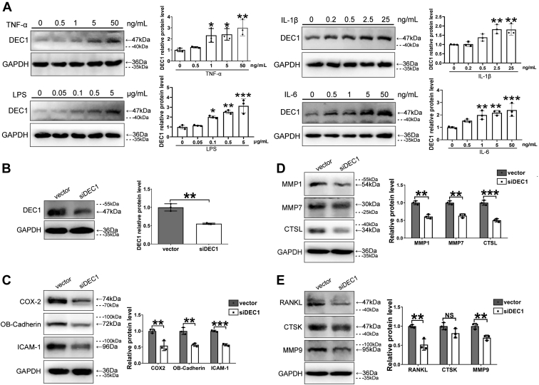 Figure 7