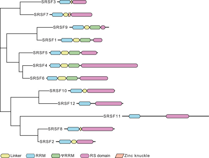 Figure 1.