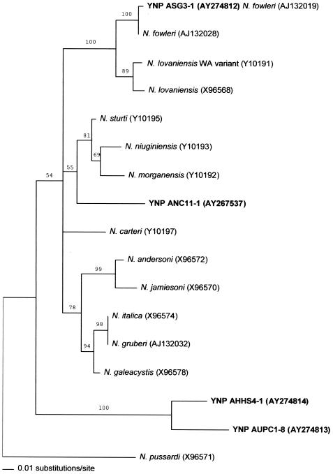 FIG. 1.