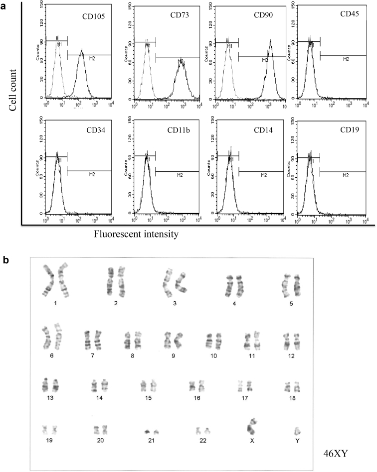 Fig. 3