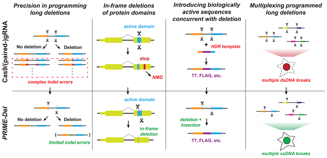 Figure 5.