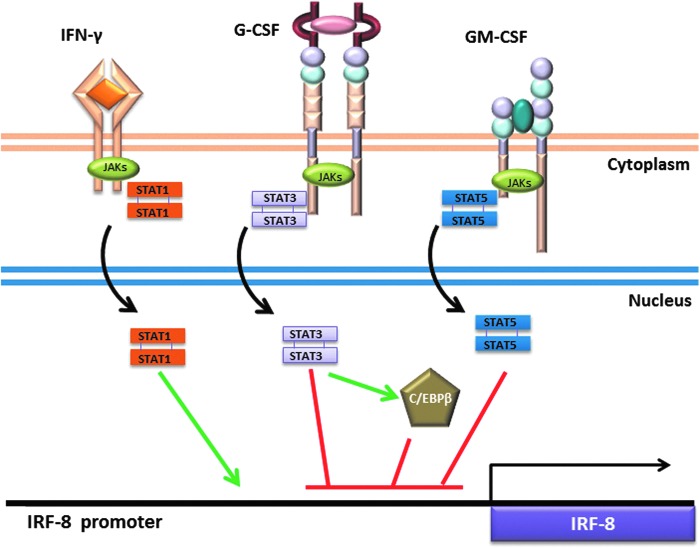 FIG. 2.