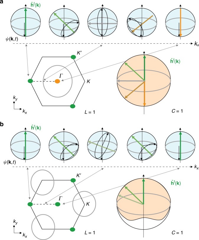 Fig. 7