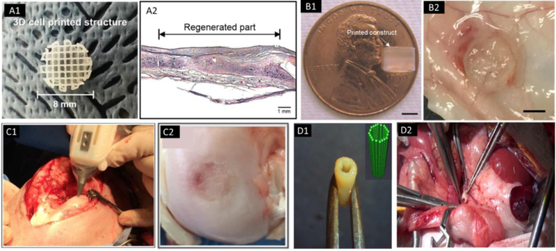 Figure 6.