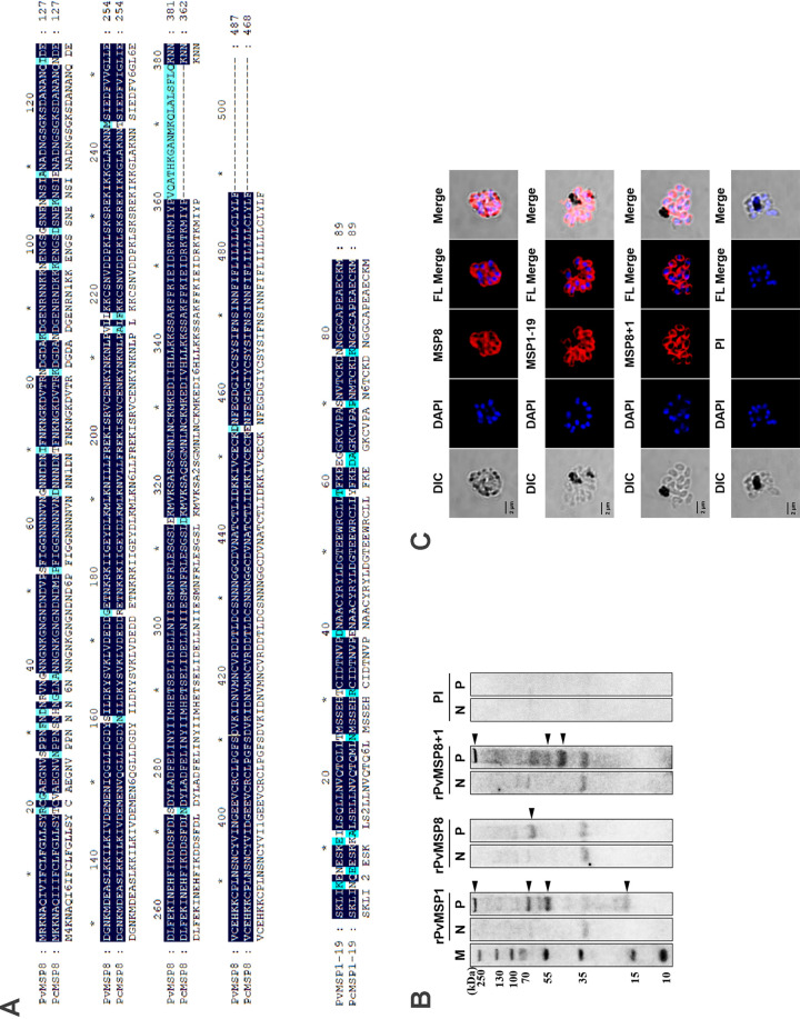 FIG 5