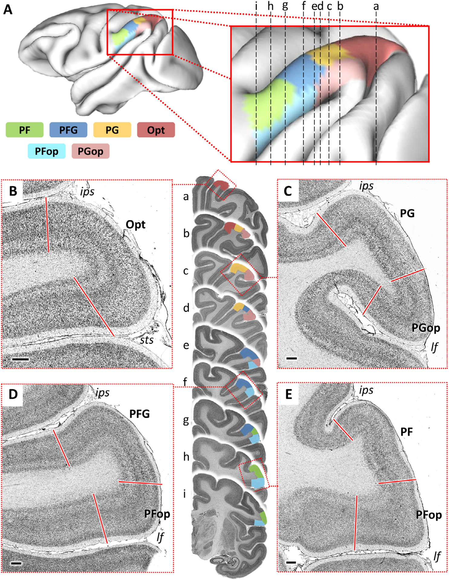 Fig. 2.