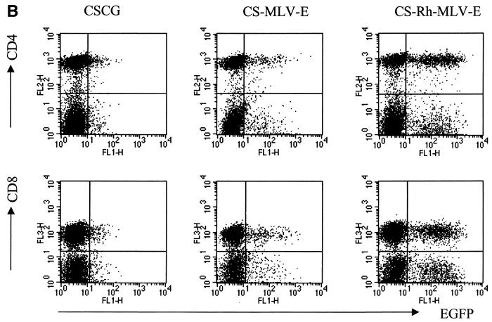 FIG. 6